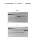 High Fidelity Restriction Endonucleases diagram and image