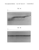 High Fidelity Restriction Endonucleases diagram and image