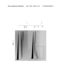 High Fidelity Restriction Endonucleases diagram and image