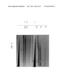 High Fidelity Restriction Endonucleases diagram and image