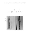 High Fidelity Restriction Endonucleases diagram and image