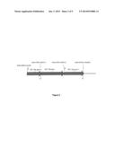 TETRASELMIS PROMOTERS AND TERMINATORS FOR USE IN EUKARYOTIC CELLS diagram and image