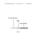 TETRASELMIS PROMOTERS AND TERMINATORS FOR USE IN EUKARYOTIC CELLS diagram and image