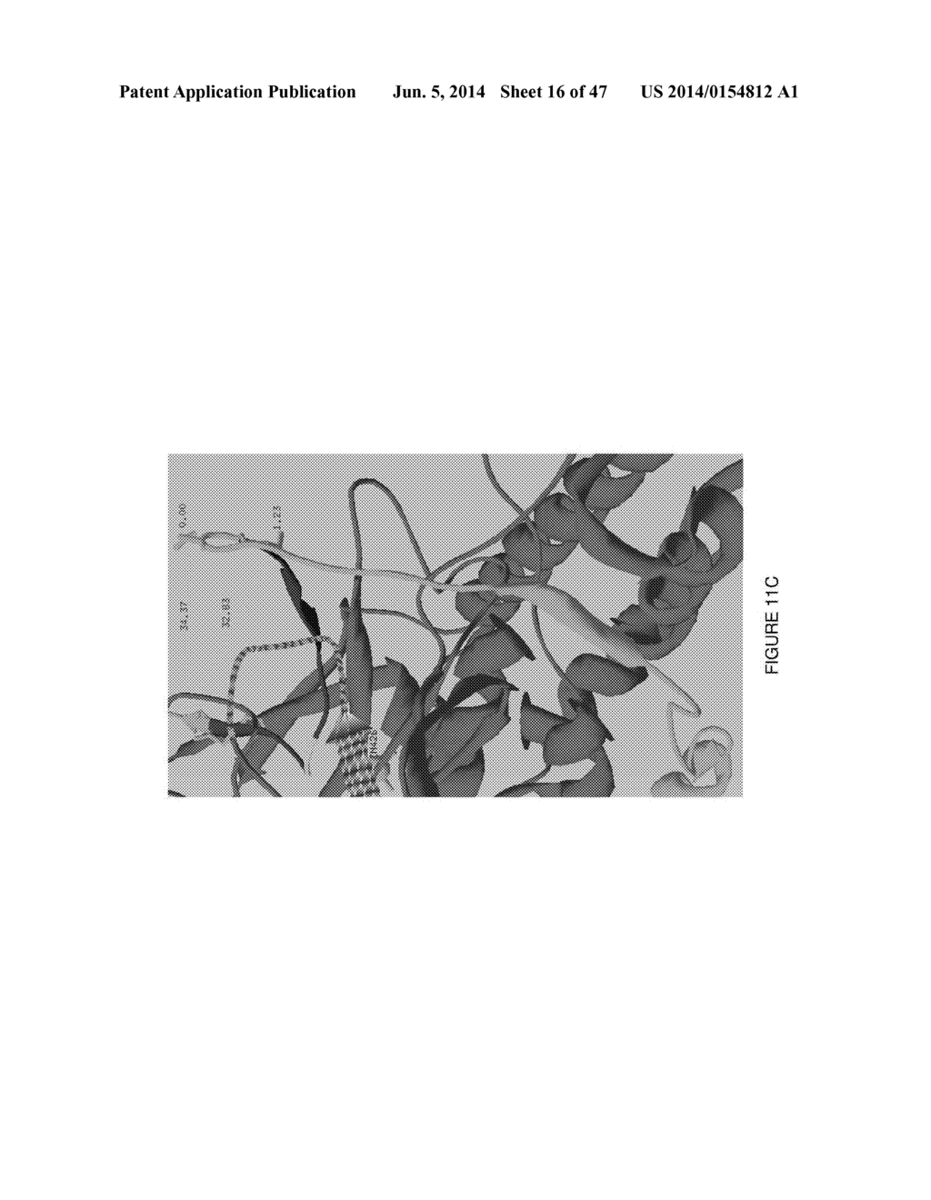 REAL-TIME ASSAY FOR THE DETECTION OF BOTULINUM TOXIN - diagram, schematic, and image 17