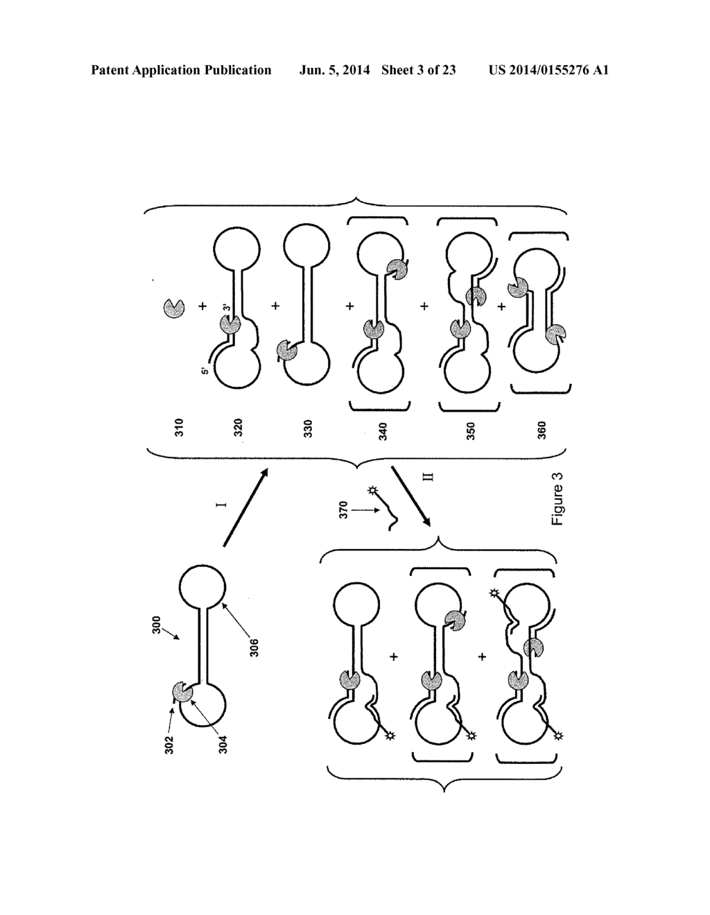 ISOLATION OF POLYMERASE-NUCLEIC ACID COMPLEXES - diagram, schematic, and image 04