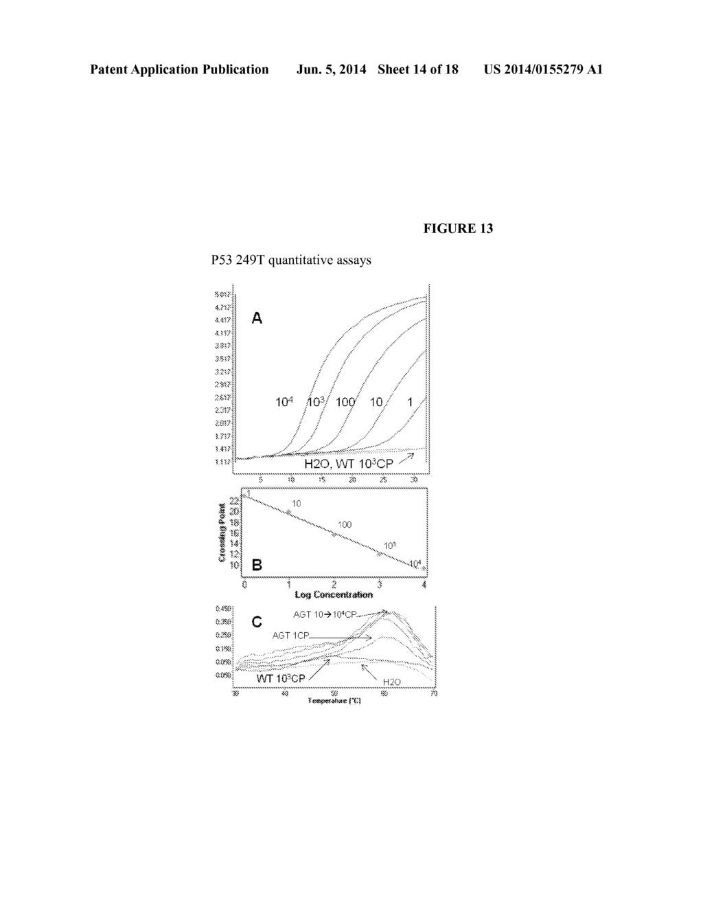 Detection of a panel of urine DNA markers for HCC screening and disease     management - diagram, schematic, and image 15