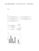 SYSTEM FOR IDENTIFICATION OF MICROORGANISM AND DETECTION OF INFECTIOUS     DISEASE diagram and image