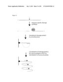 SYSTEM FOR IDENTIFICATION OF MICROORGANISM AND DETECTION OF INFECTIOUS     DISEASE diagram and image