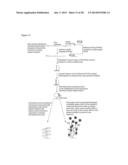 SYSTEM FOR IDENTIFICATION OF MICROORGANISM AND DETECTION OF INFECTIOUS     DISEASE diagram and image