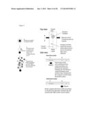 SYSTEM FOR IDENTIFICATION OF MICROORGANISM AND DETECTION OF INFECTIOUS     DISEASE diagram and image