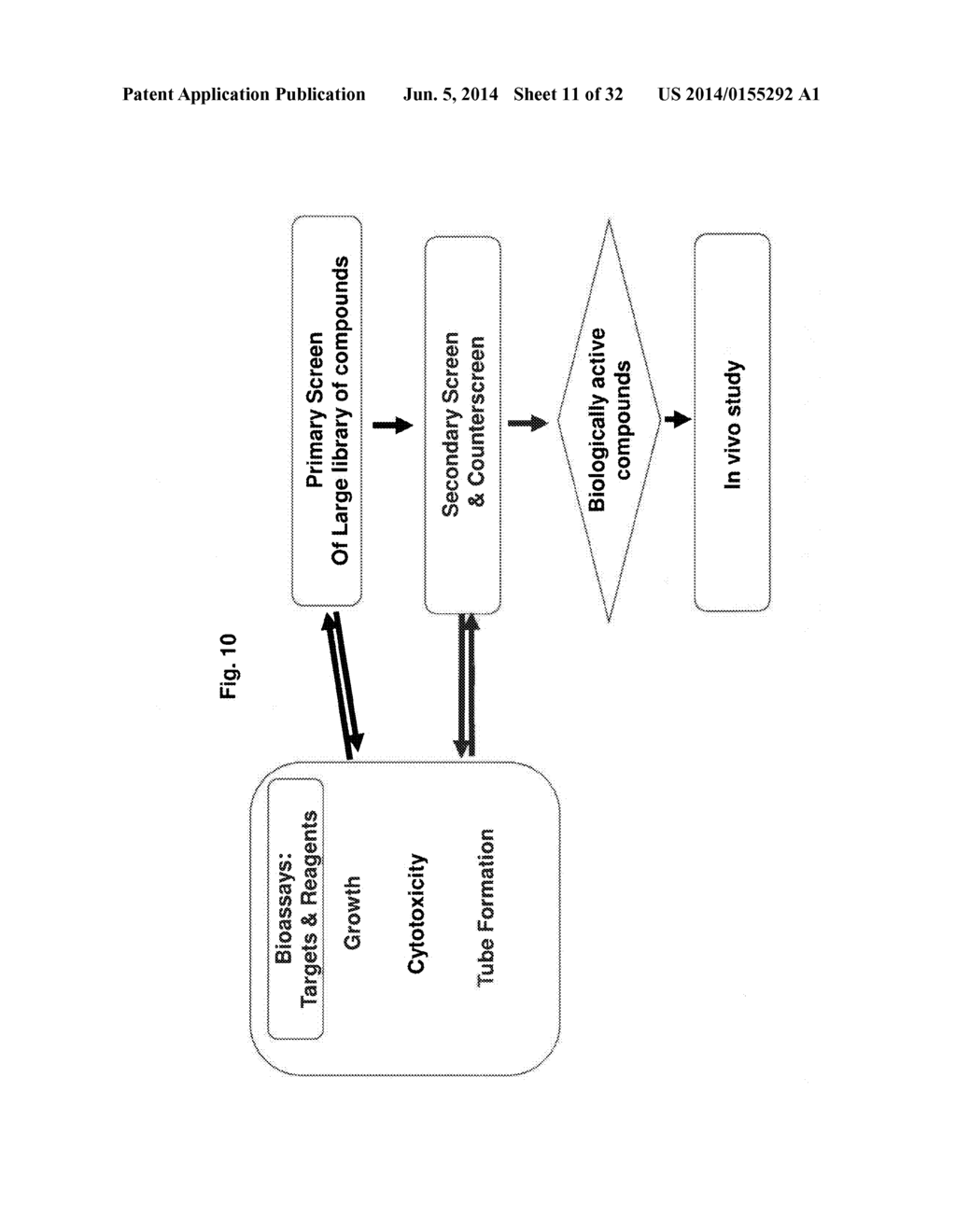 METHODS OF MONITORING ANGIOGENESIS AND METASTASIS IN THREE DIMENSIONAL     CO-CULTURES - diagram, schematic, and image 12