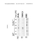 PEPTIDE COMPOSITIONS AND METHODS FOR TREATING LUNG INJURY, ASTHMA,     ANAPHYLAXIS, ANGIOEDEMA, SYSTEMIC VASCULAR PERMEABILITY SYNDROMES, AND     NASAL CONGESTION diagram and image