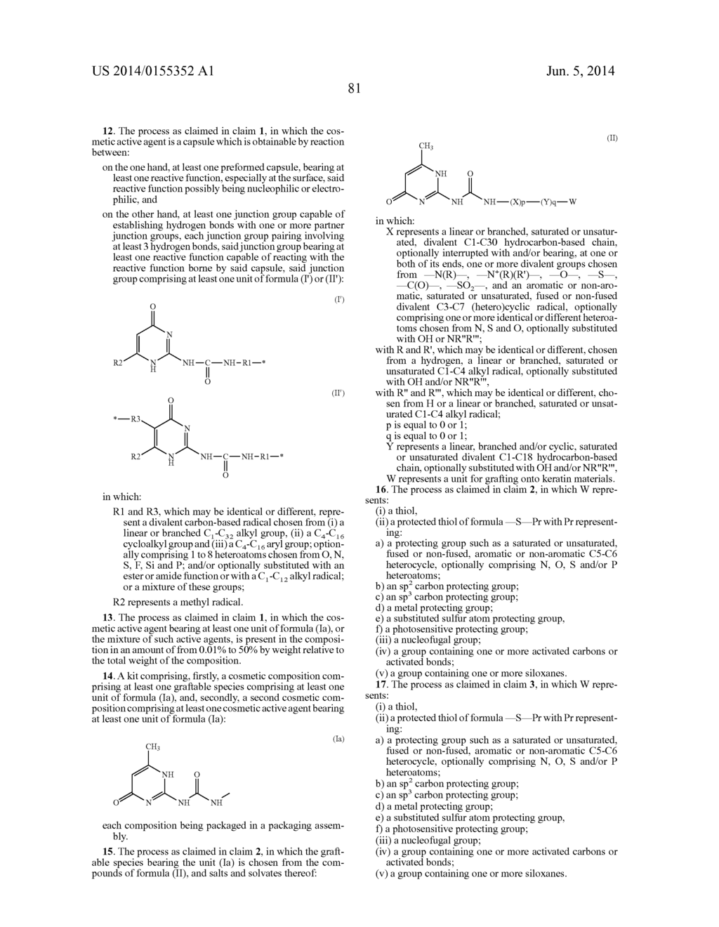 COSMETIC TREATMENT PROCESSES AND KIT - diagram, schematic, and image 82