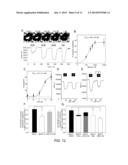 COMBINATION PHARMACEUTICALS AND METHODS THEREOF USING PROTEINACIOUS     CHANNELS AS TREATMENTS FOR MEDICAL CONDITIONS diagram and image