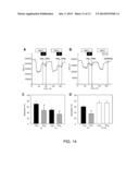 COMBINATION PHARMACEUTICALS AND METHODS THEREOF USING PROTEINACIOUS     CHANNELS AS TREATMENTS FOR MEDICAL CONDITIONS diagram and image