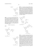 NUCLEAR TRANSPORT MODULATORS AND USES THEREOF diagram and image