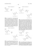 NUCLEAR TRANSPORT MODULATORS AND USES THEREOF diagram and image