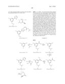 NUCLEAR TRANSPORT MODULATORS AND USES THEREOF diagram and image