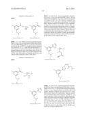 NUCLEAR TRANSPORT MODULATORS AND USES THEREOF diagram and image