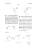 NUCLEAR TRANSPORT MODULATORS AND USES THEREOF diagram and image