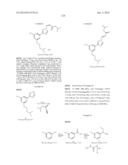 NUCLEAR TRANSPORT MODULATORS AND USES THEREOF diagram and image