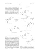 NUCLEAR TRANSPORT MODULATORS AND USES THEREOF diagram and image