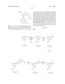 NUCLEAR TRANSPORT MODULATORS AND USES THEREOF diagram and image