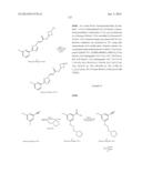 NUCLEAR TRANSPORT MODULATORS AND USES THEREOF diagram and image