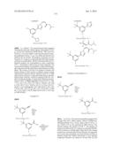 NUCLEAR TRANSPORT MODULATORS AND USES THEREOF diagram and image