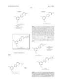 NUCLEAR TRANSPORT MODULATORS AND USES THEREOF diagram and image