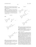 NUCLEAR TRANSPORT MODULATORS AND USES THEREOF diagram and image