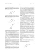 NUCLEAR TRANSPORT MODULATORS AND USES THEREOF diagram and image