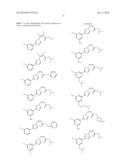 NUCLEAR TRANSPORT MODULATORS AND USES THEREOF diagram and image