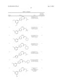 NUCLEAR TRANSPORT MODULATORS AND USES THEREOF diagram and image