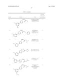 NUCLEAR TRANSPORT MODULATORS AND USES THEREOF diagram and image