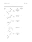 NUCLEAR TRANSPORT MODULATORS AND USES THEREOF diagram and image