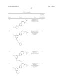 NUCLEAR TRANSPORT MODULATORS AND USES THEREOF diagram and image