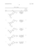 NUCLEAR TRANSPORT MODULATORS AND USES THEREOF diagram and image