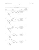 NUCLEAR TRANSPORT MODULATORS AND USES THEREOF diagram and image