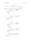 NUCLEAR TRANSPORT MODULATORS AND USES THEREOF diagram and image