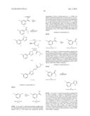 NUCLEAR TRANSPORT MODULATORS AND USES THEREOF diagram and image