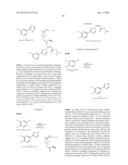 NUCLEAR TRANSPORT MODULATORS AND USES THEREOF diagram and image