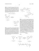 NUCLEAR TRANSPORT MODULATORS AND USES THEREOF diagram and image