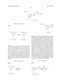 NUCLEAR TRANSPORT MODULATORS AND USES THEREOF diagram and image