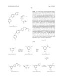 NUCLEAR TRANSPORT MODULATORS AND USES THEREOF diagram and image