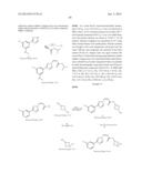 NUCLEAR TRANSPORT MODULATORS AND USES THEREOF diagram and image