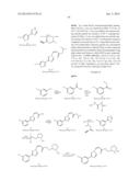 NUCLEAR TRANSPORT MODULATORS AND USES THEREOF diagram and image