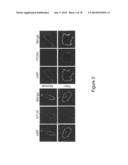 Compositions and Methods of Using Micro RNAs diagram and image