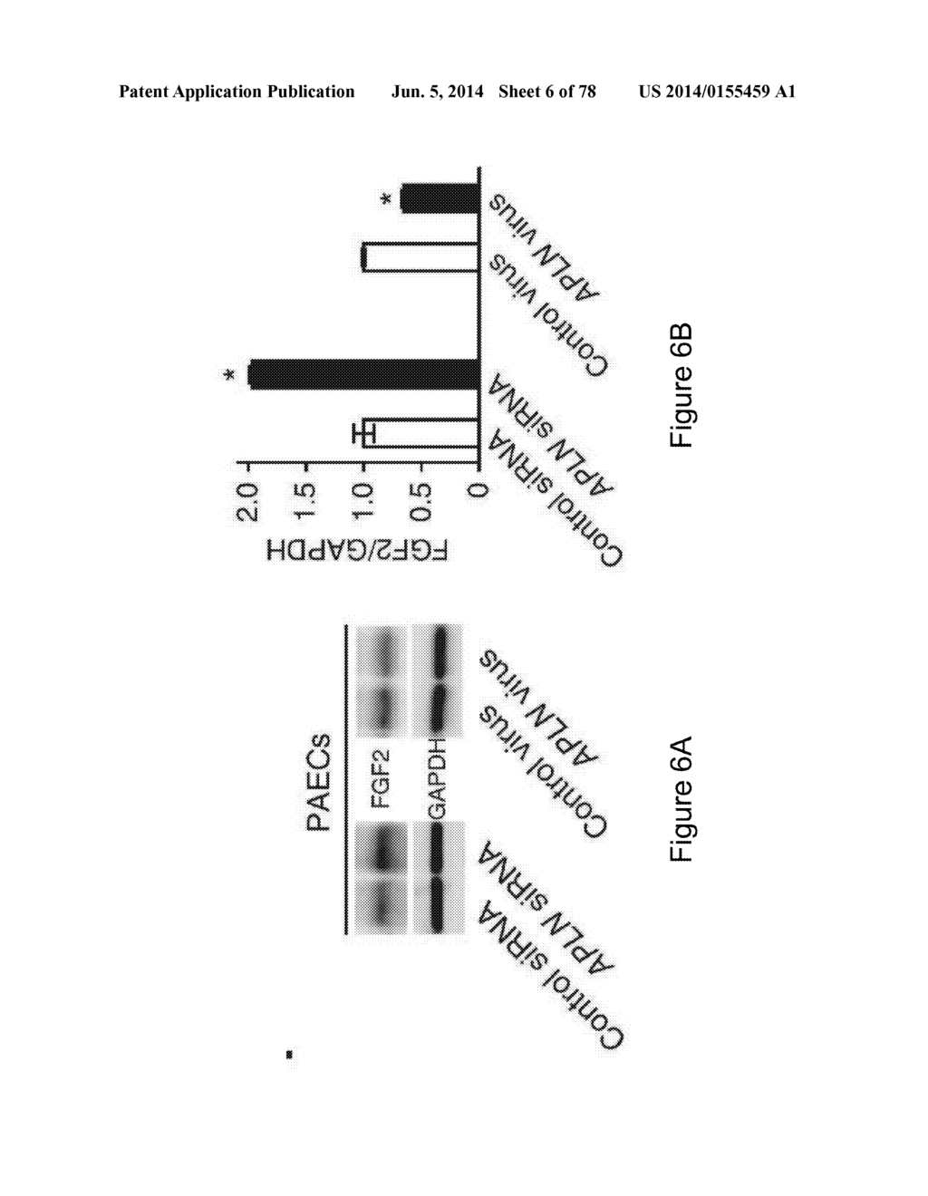 Compositions and Methods of Using Micro RNAs - diagram, schematic, and image 07