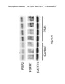 Compositions and Methods of Using Micro RNAs diagram and image